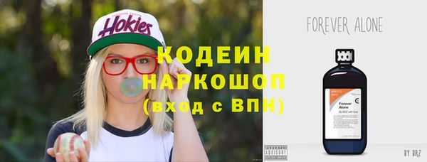 spice Карпинск