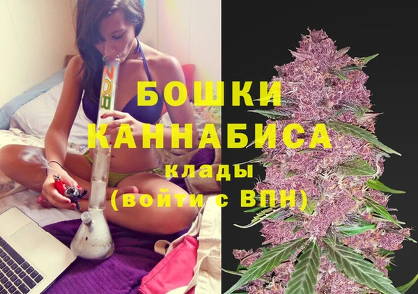 spice Карпинск