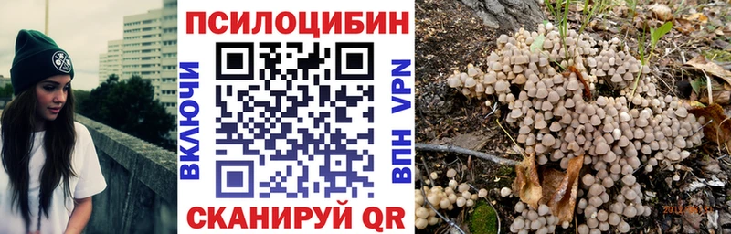 дарнет шоп Евпатория Псилоцибиновые грибы прущие грибы