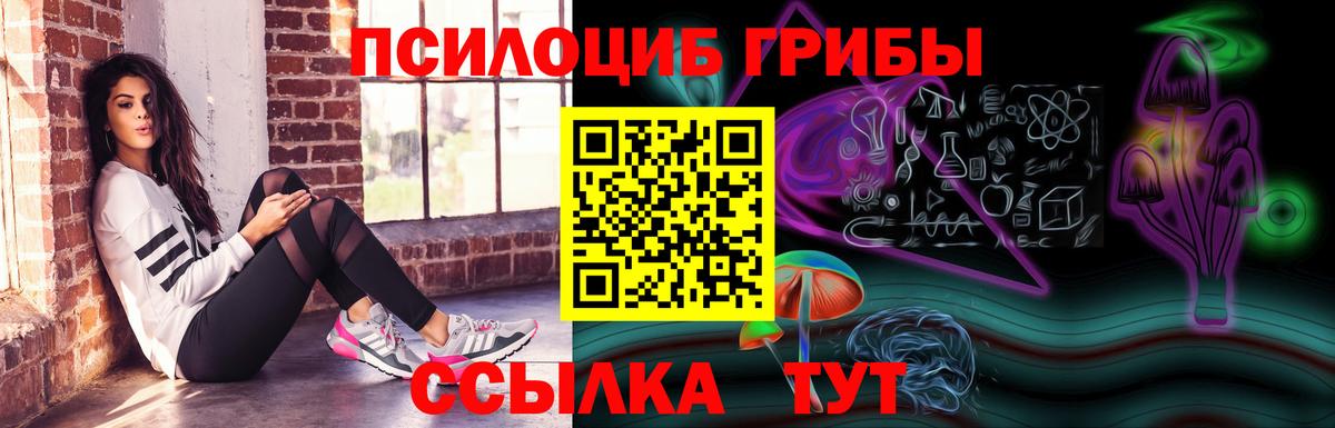 Евпатория  Галлюциногенные грибы прущие грибы  Вход с VPN 