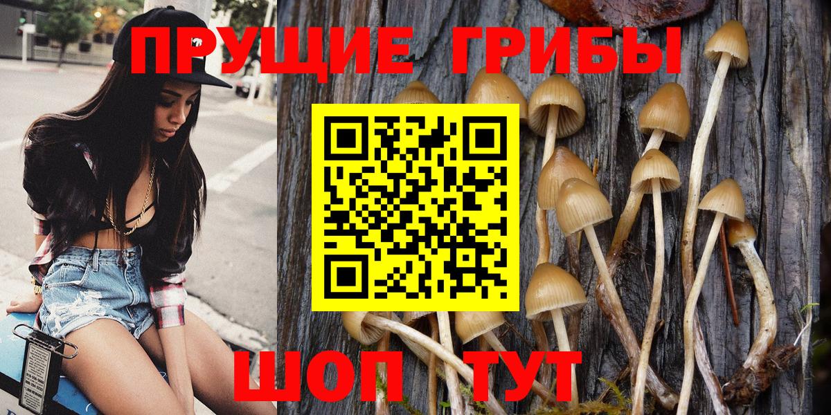 Галлюциногенные грибы GOLDEN TEACHER Евпатория